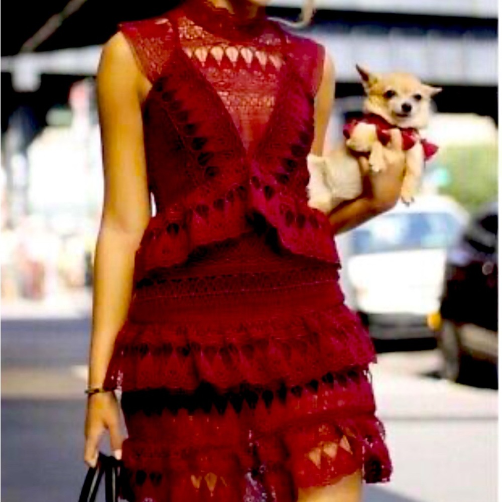 Self Portrait Teardrop Guipure Lace Mini Dress Burgundy Size 6